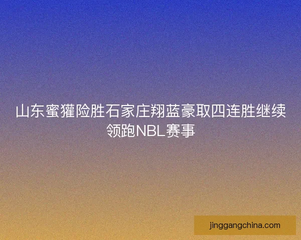 山东蜜獾险胜石家庄翔蓝豪取四连胜继续领跑NBL赛事